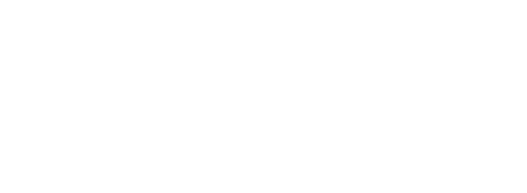 LogoZoom